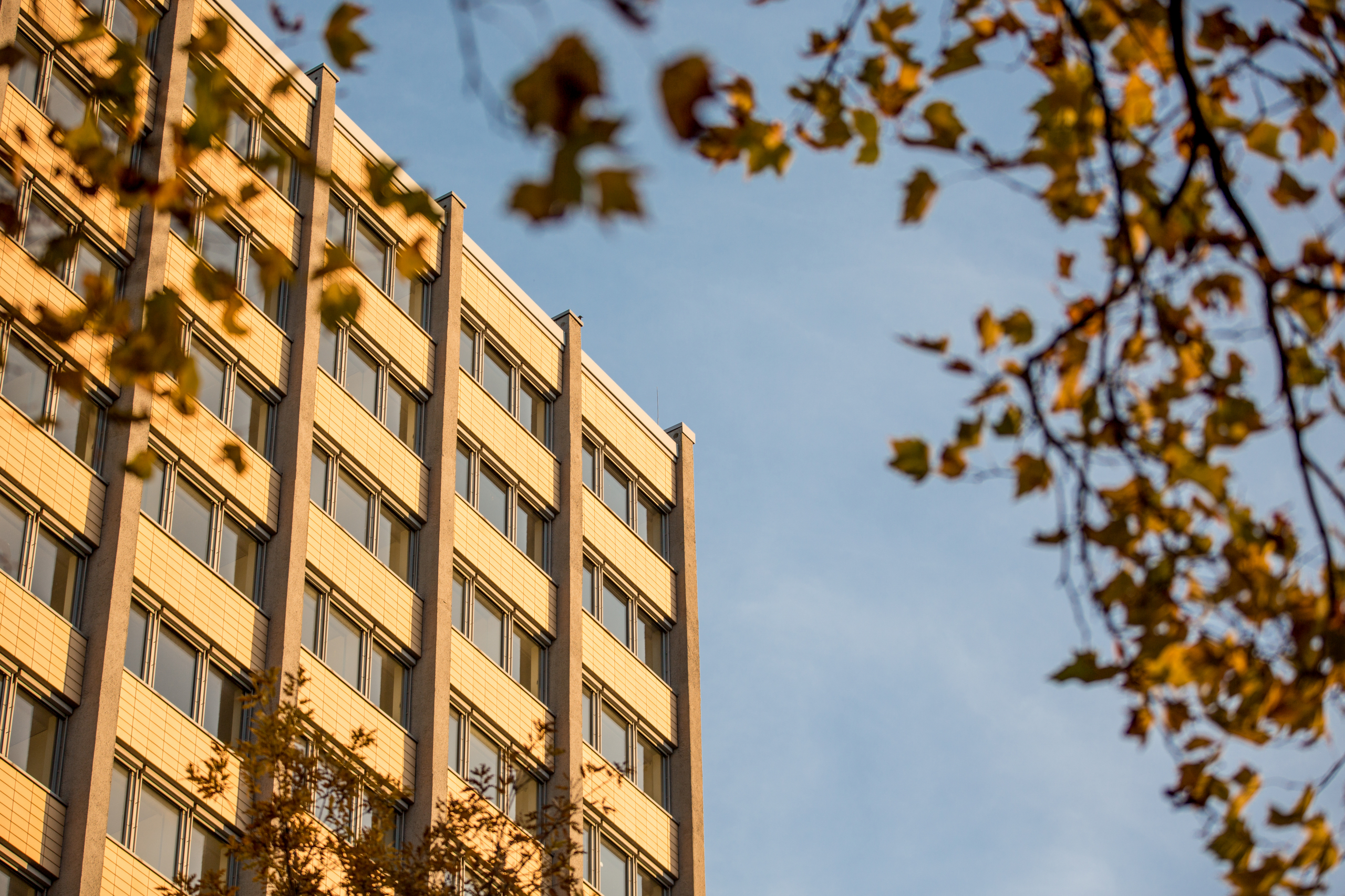 Philosophenturm im Herbst, Foto: UHH/SaintPere